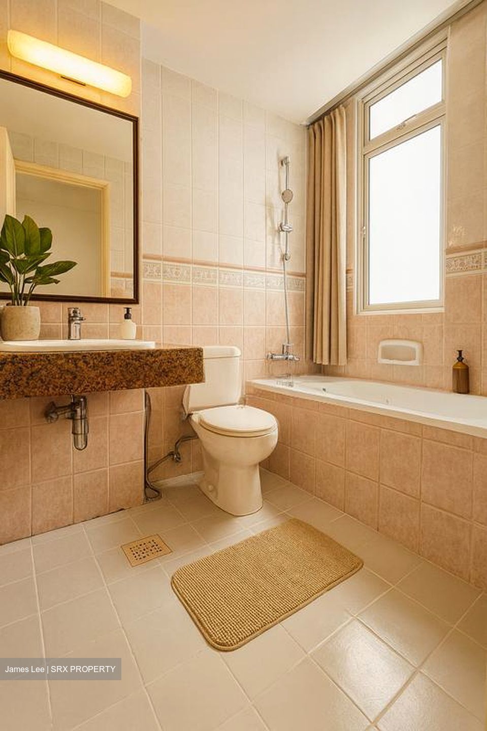 La Crystal (D9), Apartment #499414991